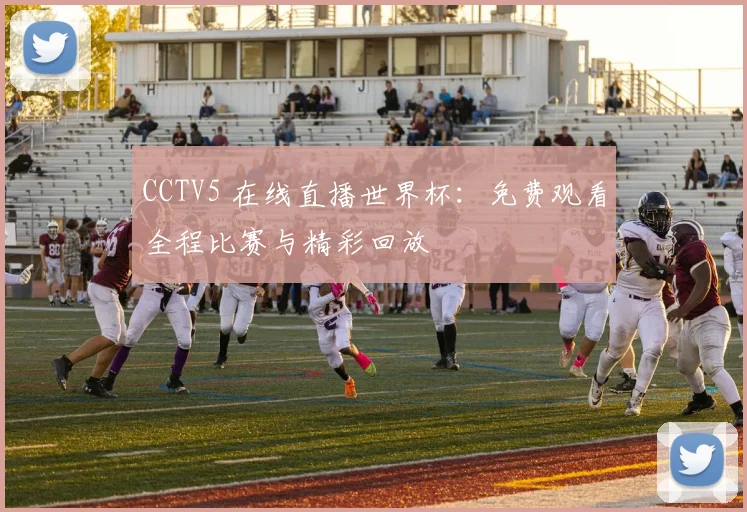 CCTV5 在线直播世界杯：免费观看全程比赛与精彩回放