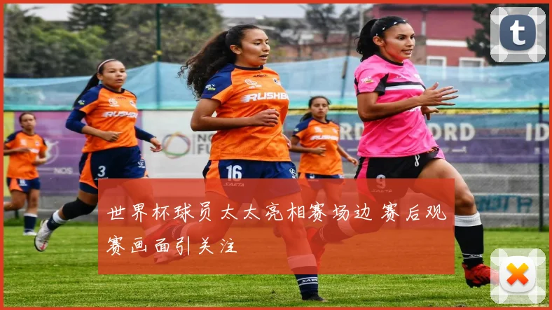 世界杯球员太太亮相赛场边 赛后观赛画面引关注
