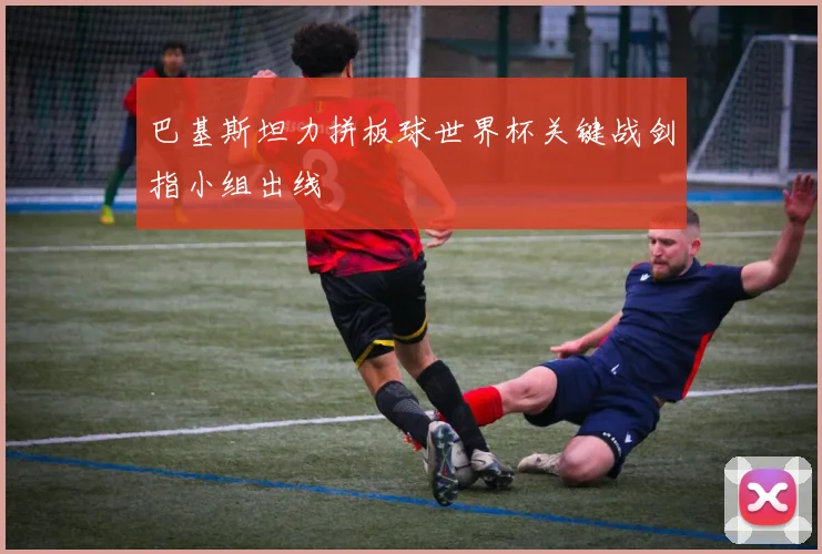 巴基斯坦力拼板球世界杯关键战剑指小组出线