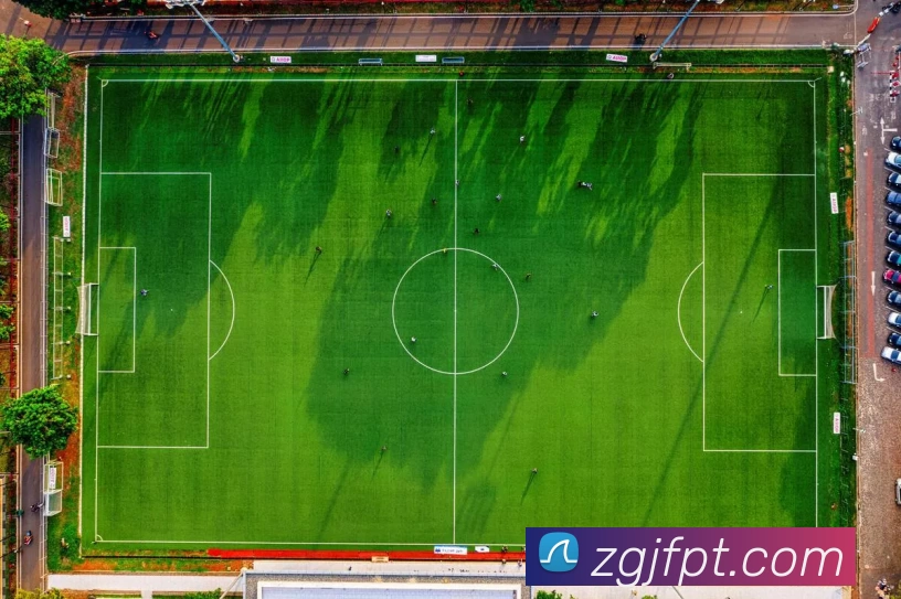 乐鱼网页版登陆入口服务体系